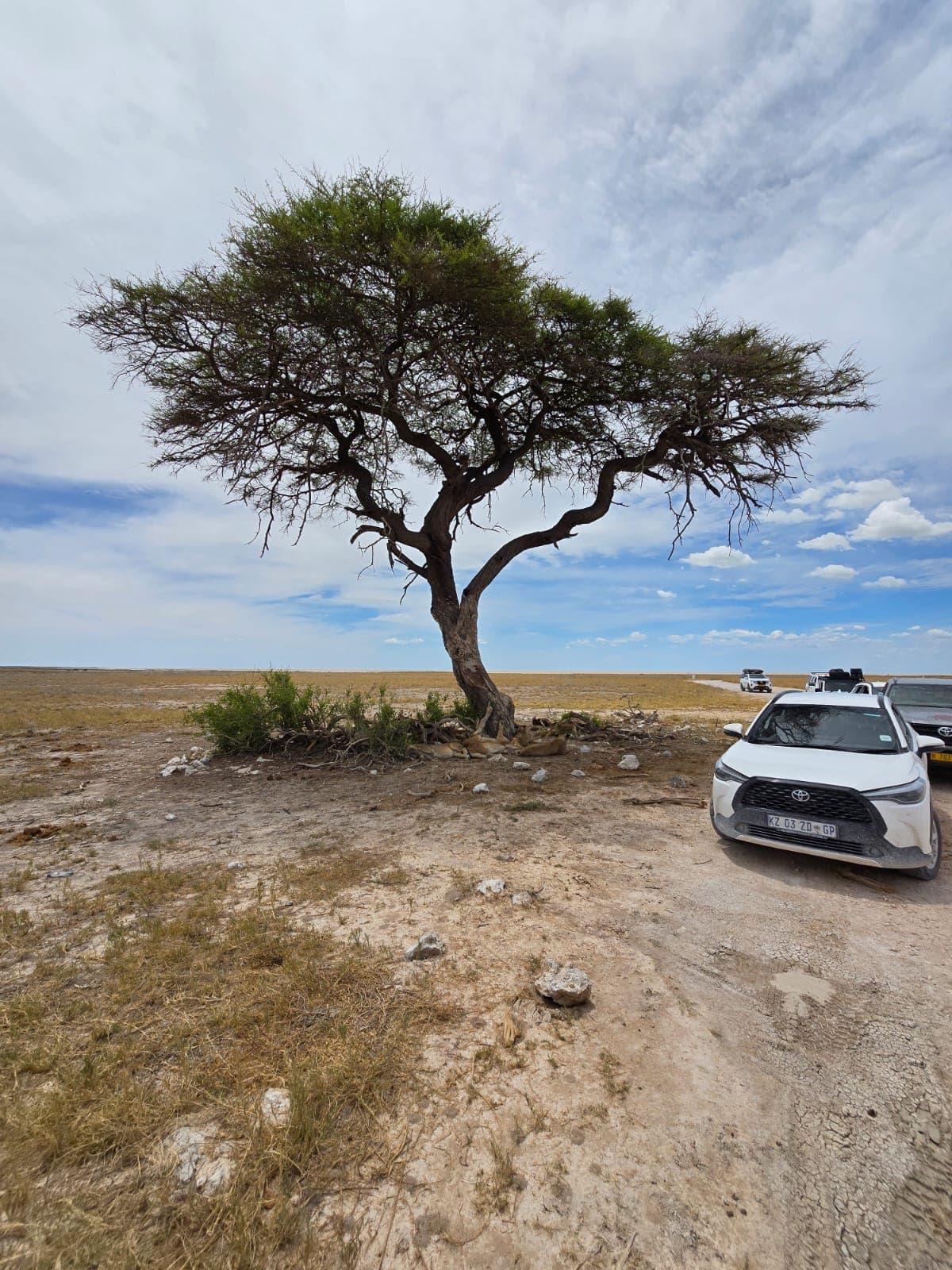 Okavango Mokoro Excursion gallery photo