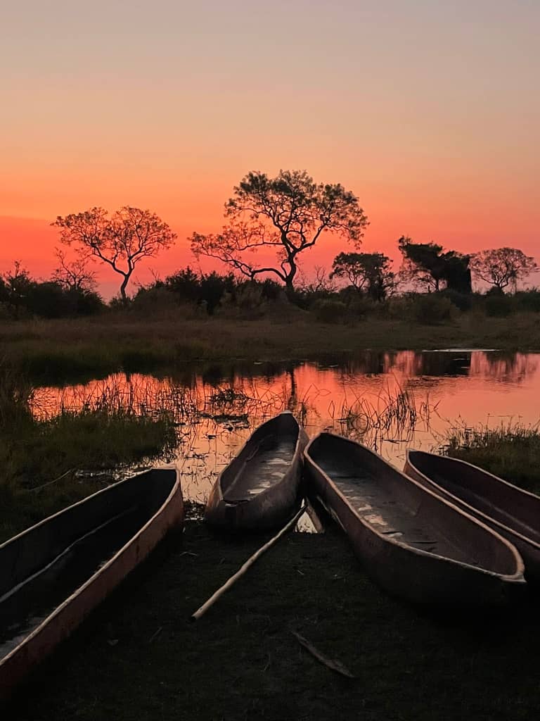 Custom Multi-Day Safari Itineraries gallery photo