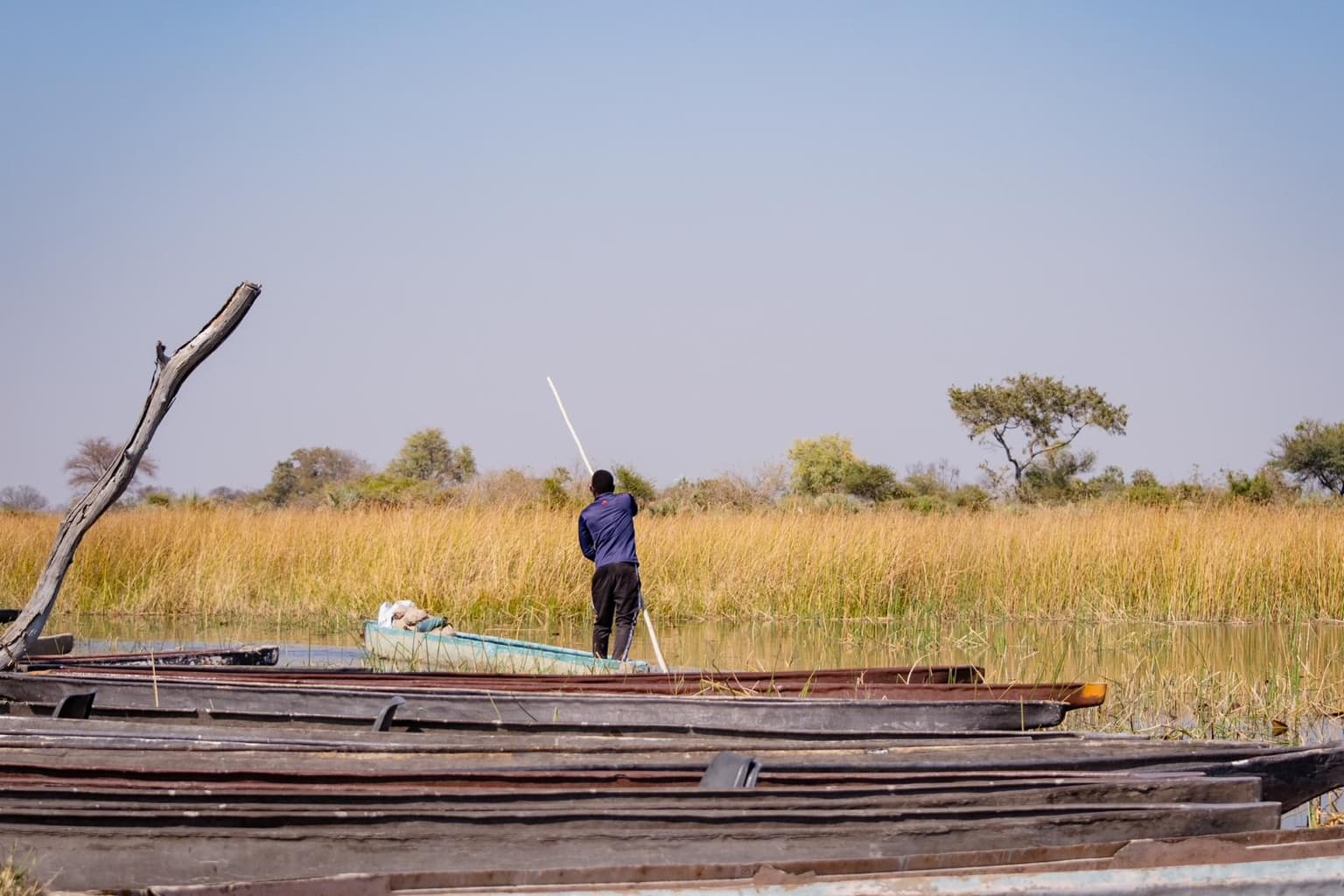 Okavango Mokoro Excursion gallery photo