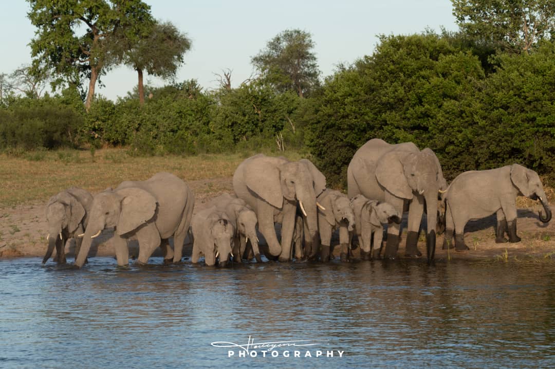 Okavango Delta & Maun photo