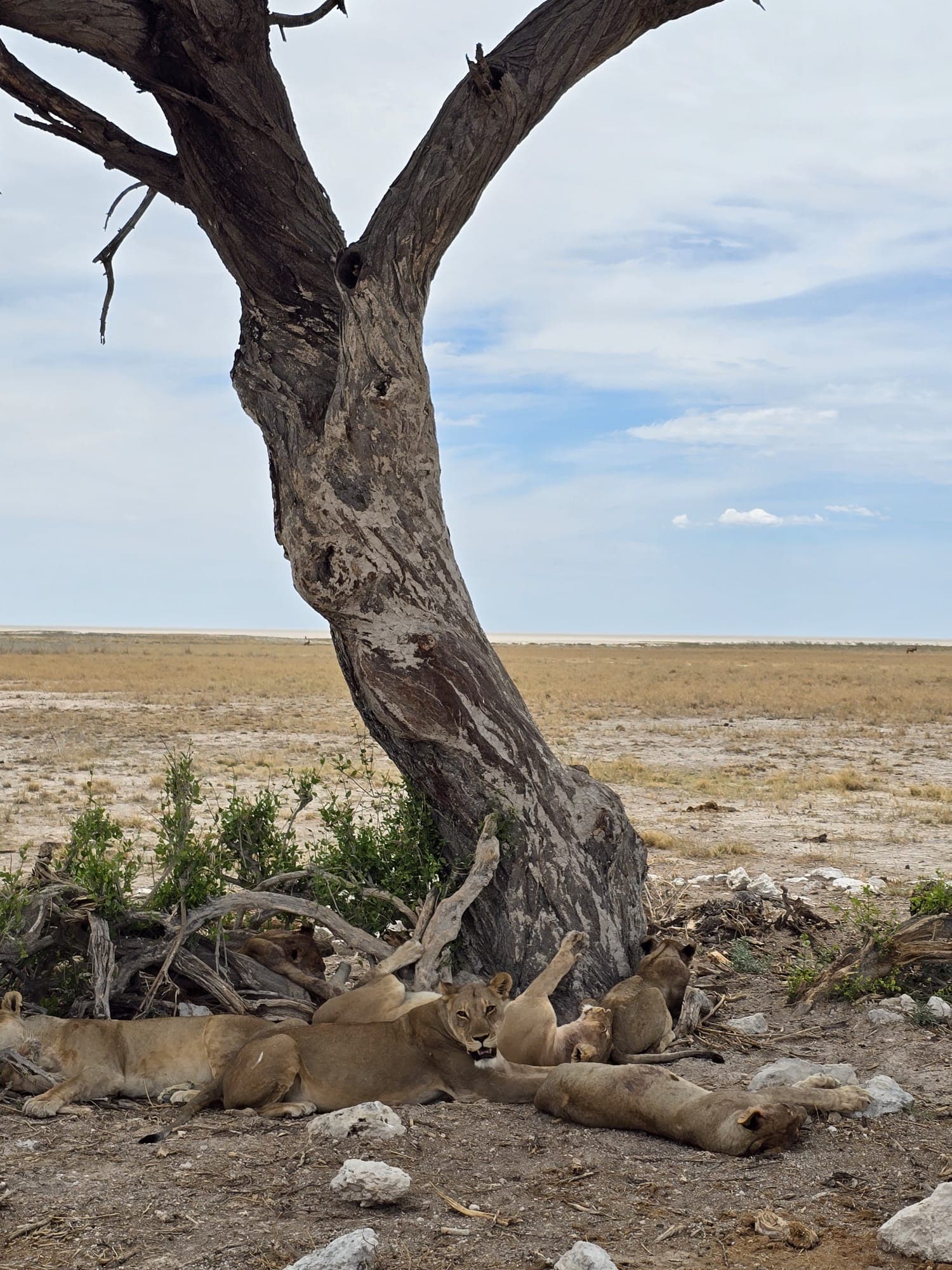 Namibia photo