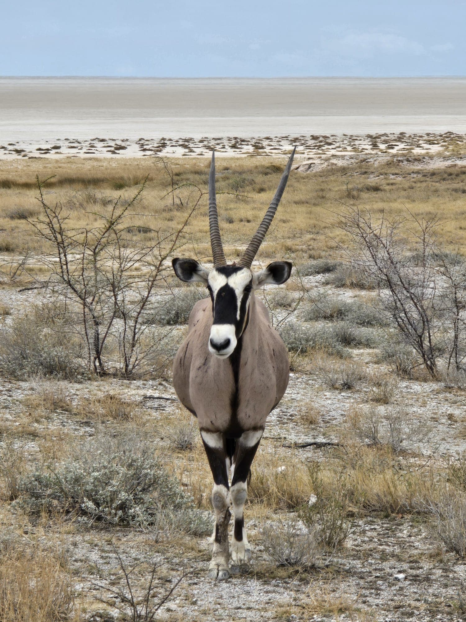Namibia photo