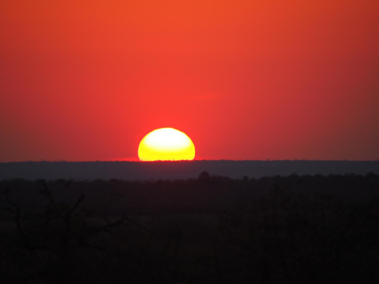 Mokoro dugout canoes on the Okavango Delta at sunset
